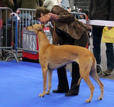 Mandajors - Milla BOB Junior une nouvelle fois à Toulouse 