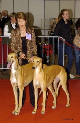 Mandajors - BIS 2 pour Milla et Best In Show Couple #2 pour Milla&Lewis