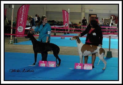 Mandajors - Championnat de France 2012: Dénétorn au top ! 