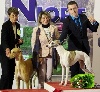  - BEST IN SHOW Couple #1 pour Milla et Lewis 