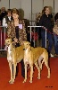  - BIS 2 pour Milla et Best In Show Couple #2 pour Milla&Lewis