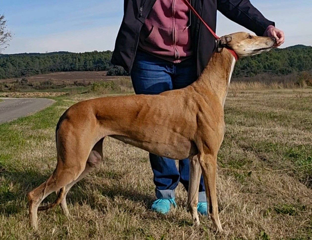 Windrock Play with fire